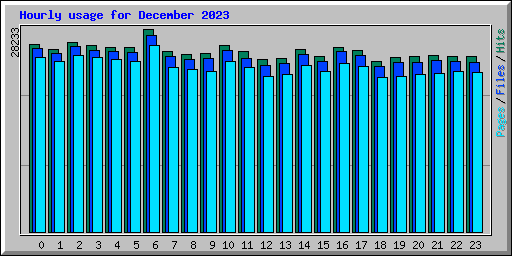 Hourly usage for December 2023