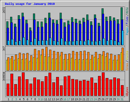 Daily usage for January 2010