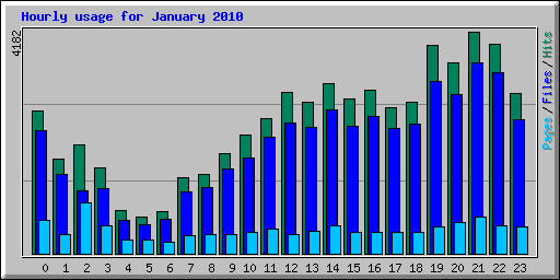 Hourly usage for January 2010